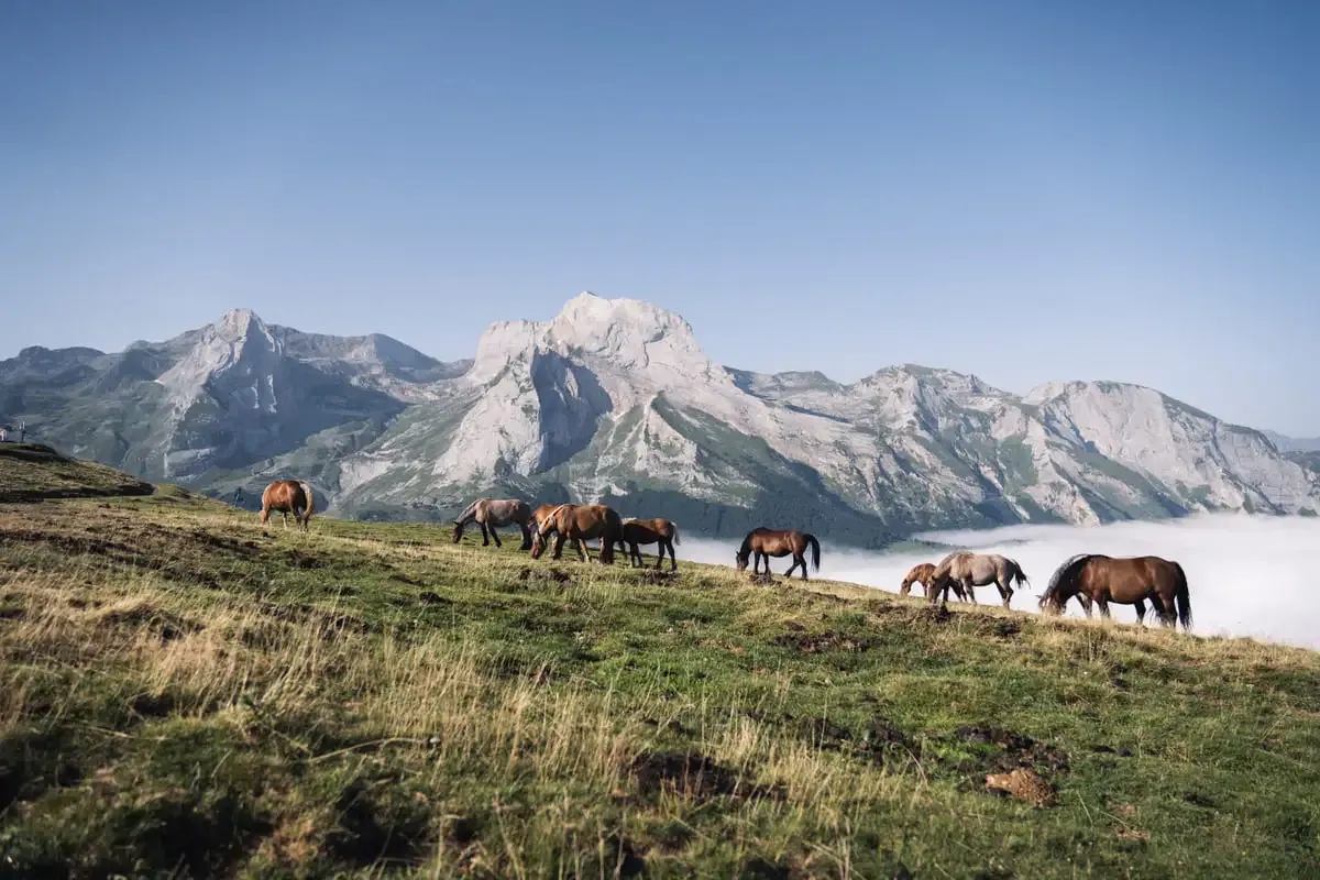 montagne propre gourette